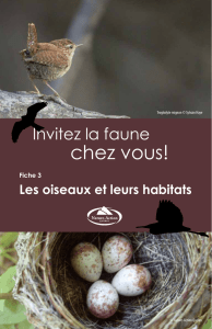 Inviter la faune chez vous – Les oiseaux et leur habitats