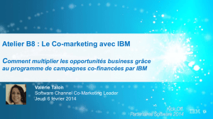 Le Co-marketing avec IBM