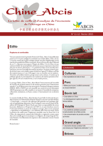 abcis chine 1