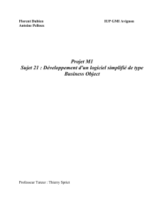 Projet M1 Sujet 21 : Développement d`un logiciel simplifié de type