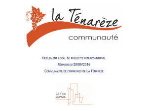 RÈGLEMENT LOCAL DE PUBLICITÉ INTERCOMMUNAL