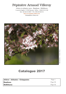 Pépinière Arnaud Villeroy Catalogue 2017