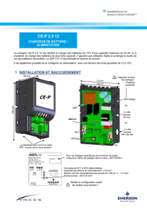 CE-P 2.5 12 - All Batteries