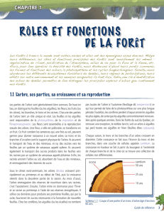 rôles et fonctions de la forêt - Association forestière du sud du Québec