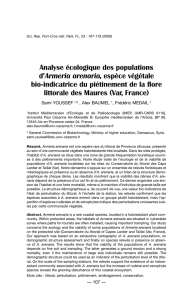 Analyse écologique des populations d`Armeria arenaria, espèce