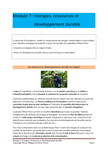 Module 7 : énergies, ressources et développement durable