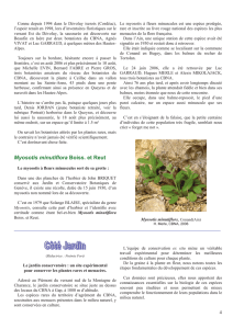 Myosotis minutiflora Boiss. et Reut
