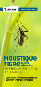 moustique tigre - Conseil Départemental du Bas-Rhin