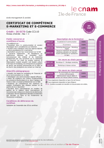 certificat de compétence e-marketing et e-commerce