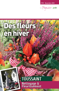 Des fleurs en hiver