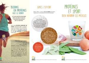Protéines et sport : bien nourrir ses muscles - Apaq-W