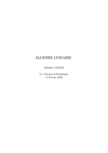 ALGEBRE LINEAIRE - Fichier