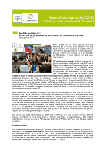 Dépêche spéciale n°4 Bilan COP 22, le Sommet de Marrakech : la
