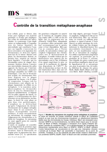 Contrôle de la transition métaphase-anaphase - iPubli