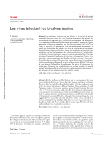 Les virus infectant les bivalves marins
