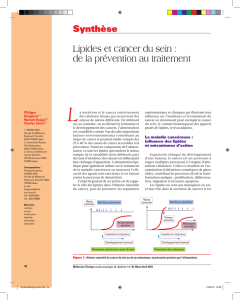 Lipides et cancer du sein : de la prévention au traitement