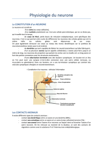 Physiologie du neurone - Fichier