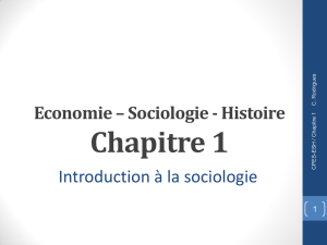 Introduction sociologie P1