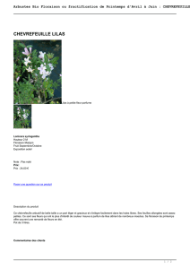 Arbustes Bio Floraison ou fructification de Printemps d`Avril à Juin