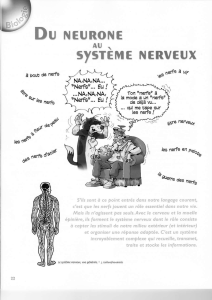 sySTEME NERVEUX
