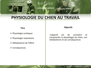 Physiologie cardiaque