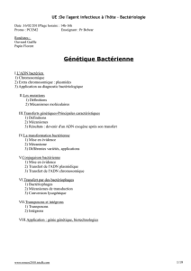 Génétique Bactérienne - Fichier