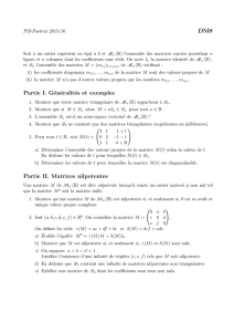 DM8 Partie I. Généralités et exemples Partie II. Matrices nilpotentes
