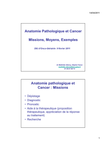 Anatomie pathologique et Cancer