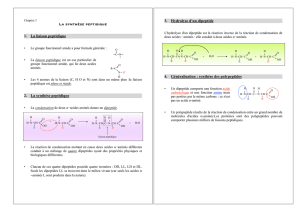 resume synthese peptidique