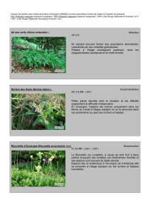 Fiches Flore - ALTER ECO Accueil