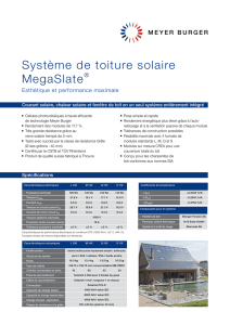 FS MegaSlate 190 fr (, 385.7Kb)