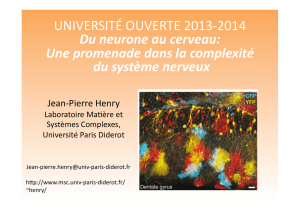 UNIVERSITÉ OUVERTE 2013-‐2014 Du neurone au cerveau: Une