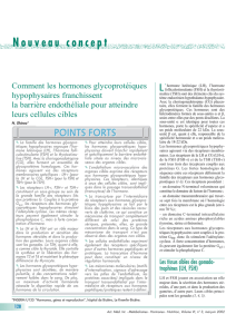 Comment les hormones gycoprotéiques hypophysaures