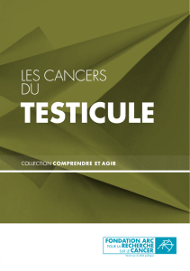 brochure testicule