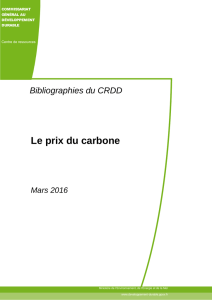 Le prix du carbone : tarification et instruments économiques