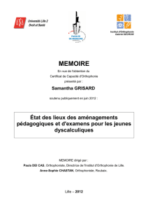 memoire - Lille 2