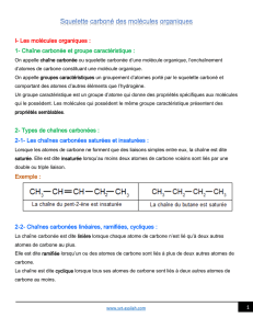 1 I- Les molécules organiques : 1