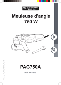 PAG750A Meuleuse d`angle 750 W