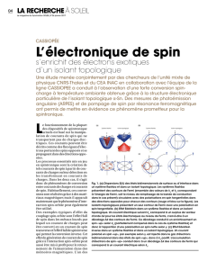 L`électronique de spin s`enrichit des électrons exotiques d`un isolant