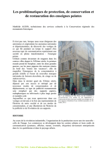 Les problématiques de protection, de conservation et de