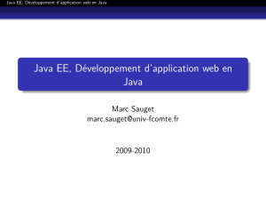 Java EE, Développement d`application web en Java