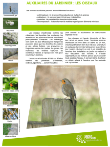 Les oiseaux - Communauté d`agglomération de Cergy