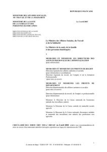 Le Ministre des Affaires Sociales, du Travail et de la Solidarité Le