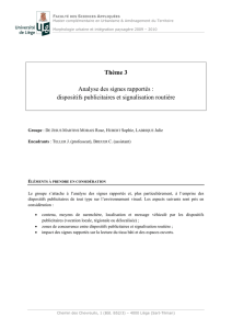 Thème 3 Analyse des signes rapportés : dispositifs publicitaires et