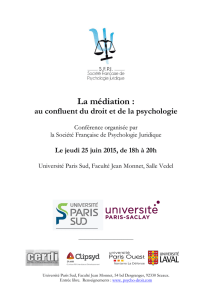 sfpjconference25juin2015 - CERDI - Université Paris-Sud