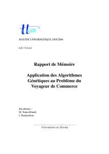 Rapport de Mémoire Application des Algorithmes Génétiques