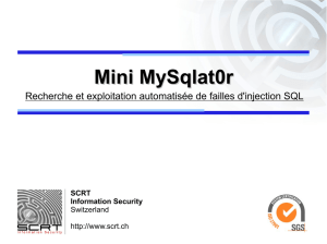 SCRT – MiniMysqlat0r