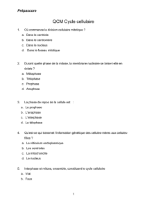 Exercices TD - Cycle cellulaire 1