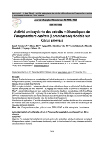 Activité antioxydante des extraits méthanoliques de Phragmanthera