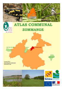 atlas communal - Moyenvic Grain de sel